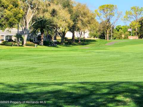 Hidden Trail, SPRING HILL, FL 34606