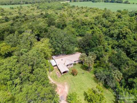 Ruby, MILTON, FL 32571