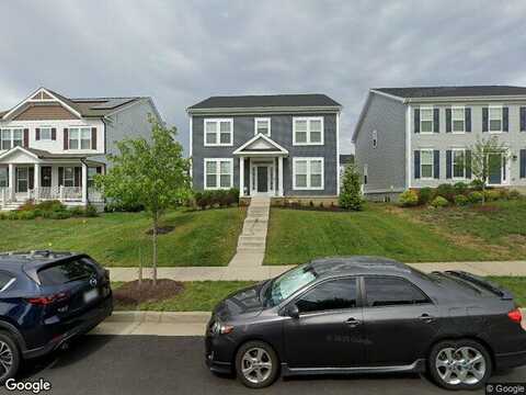 Hosta, STAFFORD, VA 22554