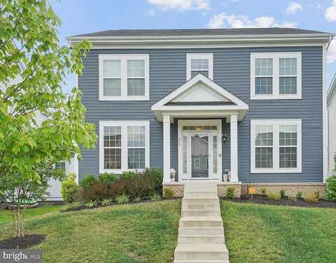 Hosta, STAFFORD, VA 22554