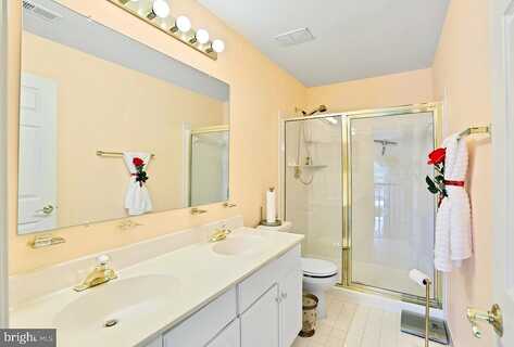 Blythwood, ASHBURN, VA 20147