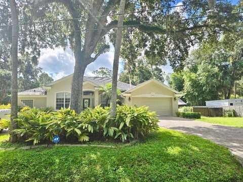 Jungle, NEW SMYRNA BEACH, FL 32168