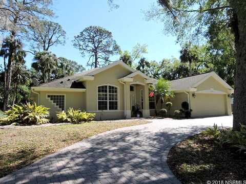 Jungle, NEW SMYRNA BEACH, FL 32168