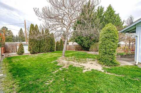 Camellia, MEDFORD, OR 97504