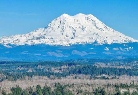 Bald Hill, YELM, WA 98597