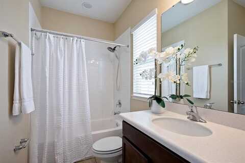 Lobelia, LAKE MARY, FL 32746