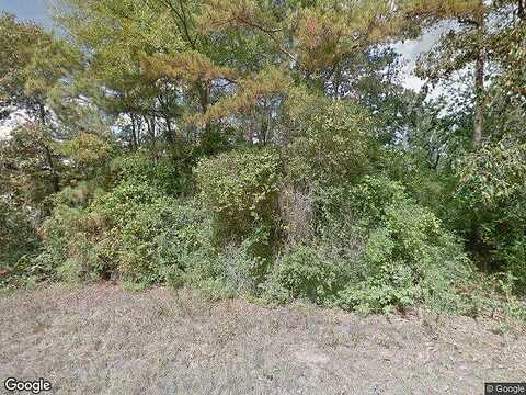 Magnolia, PLANTERSVILLE, TX 77363