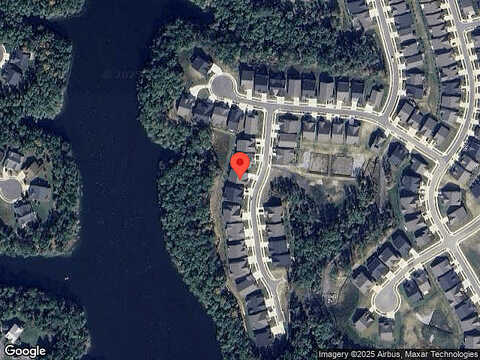 Yellow Birch, LAKE FREDERICK, VA 22630