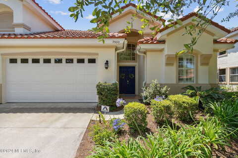 Willet, FERNANDINA BEACH, FL 32034