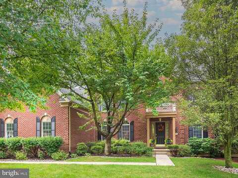 Goldfinch, PHOENIXVILLE, PA 19460