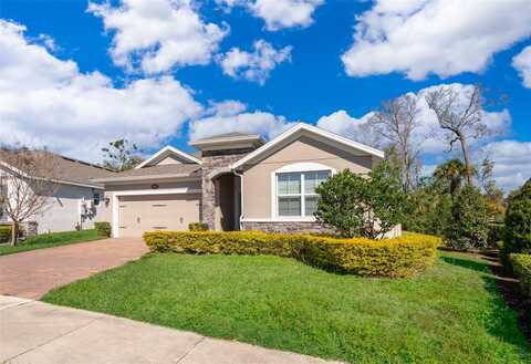 Monterey Cypress, SANFORD, FL 32773
