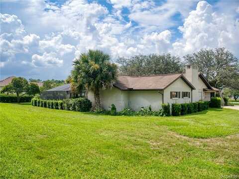Falconry, HERNANDO, FL 34442