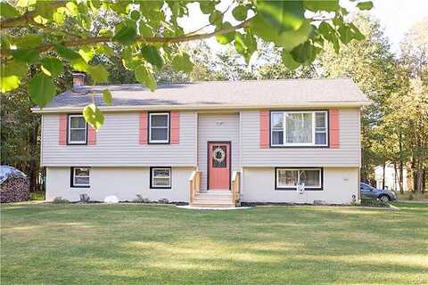 Mountain, ALBRIGHTSVILLE, PA 18210