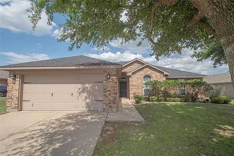 Ambassador, MIDLOTHIAN, TX 76065