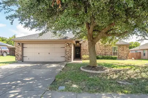 Ambassador, MIDLOTHIAN, TX 76065