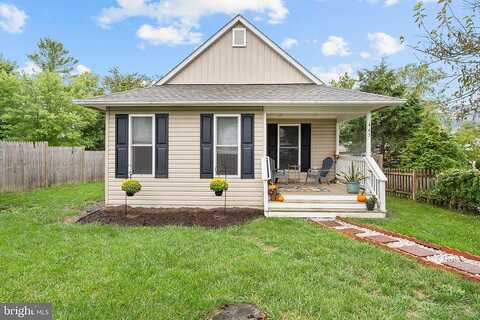 Ash, STRASBURG, VA 22657