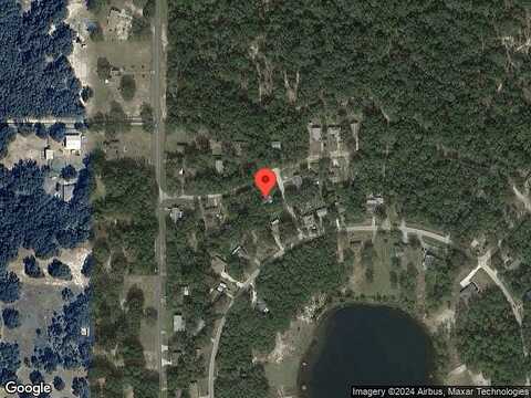 Palm, LADY LAKE, FL 32159