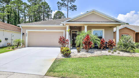 Dahoon Holly, DAYTONA BEACH, FL 32117