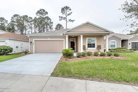 Dahoon Holly, DAYTONA BEACH, FL 32117