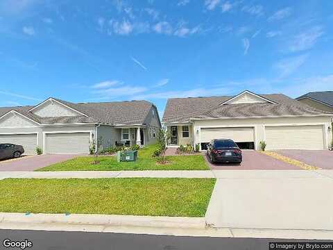 Canna Lily, CLERMONT, FL 34711