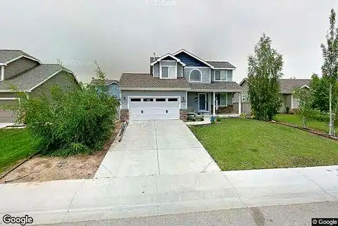 Grizzly, WELLINGTON, CO 80549