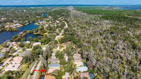 Wild Cat, ORMOND BEACH, FL 32174