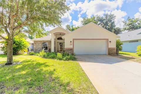 Wild Cat, ORMOND BEACH, FL 32174