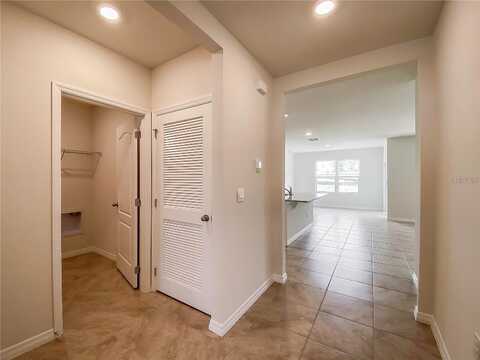 Lilyturf, TAVARES, FL 32778