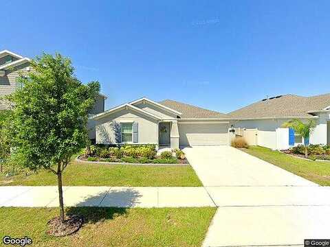 Bristleleaf, LEESBURG, FL 34748