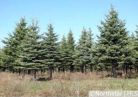 Majestic Pines, AFTON, MN 55001