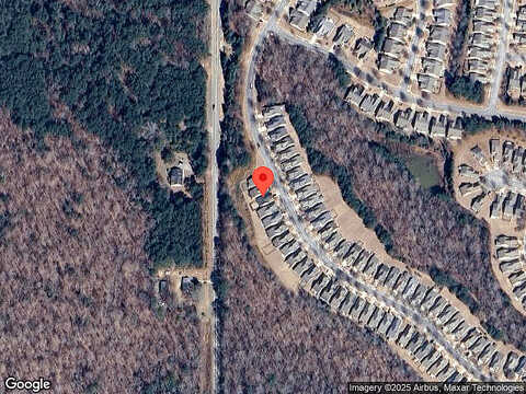 Begonia, GRIFFIN, GA 30223