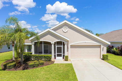 Areca Palm, PORT ORANGE, FL 32128