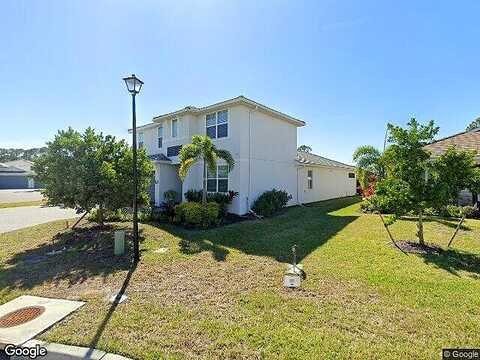 Daylily, NOKOMIS, FL 34275