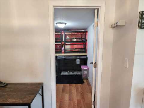 Myrtle, LAKELAND, FL 33801