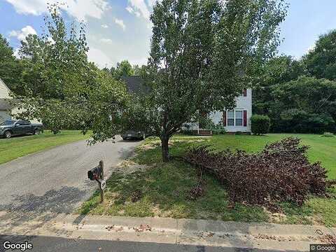 Scotch Pine, SANDSTON, VA 23150