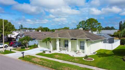 Classic Lake, TAMPA, FL 33635