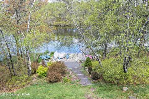 English Ivy, LONG POND, PA 18334