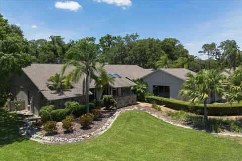 Elder Berry, SARASOTA, FL 34241