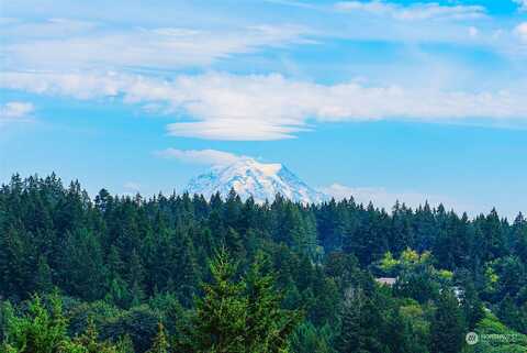 Peacock Hill, GIG HARBOR, WA 98332