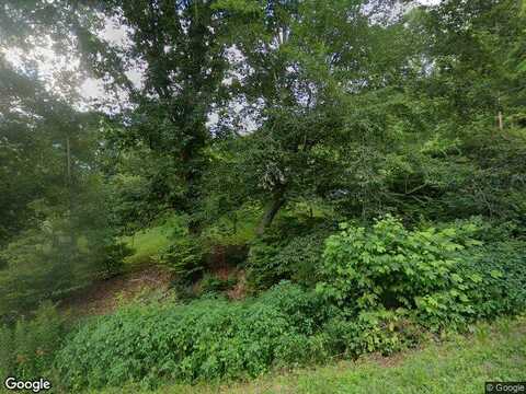 Spring Hill, CEDAR BLUFF, VA 24609