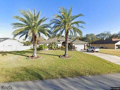 Angora, SPRING HILL, FL 34608