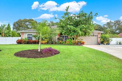 Angora, SPRING HILL, FL 34608