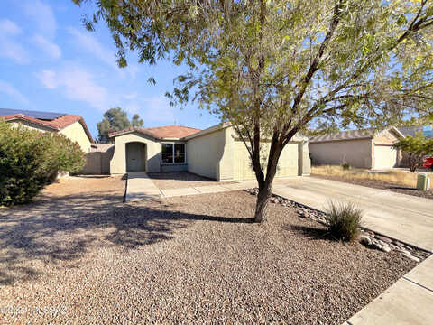 Centipede, TUCSON, AZ 85742
