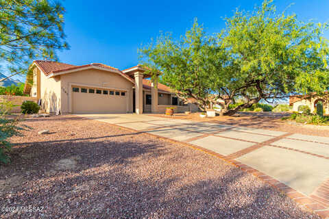 Cholla, TUCSON, AZ 85750