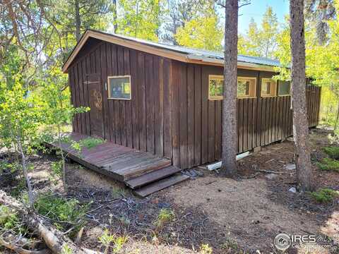 County Road 113, ALLENSPARK, CO 80510