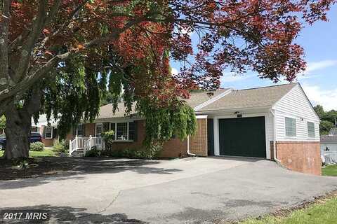 Fox, WINCHESTER, VA 22601