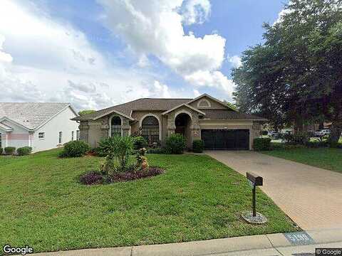 Panther, SPRING HILL, FL 34607