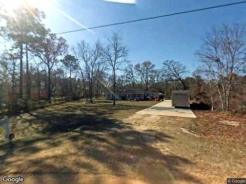 Leopard, MIDDLEBURG, FL 32068