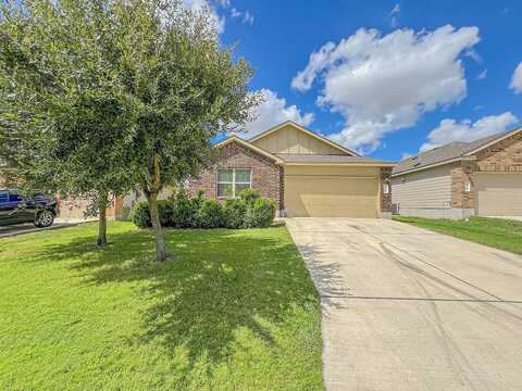 Druse, JARRELL, TX 76537