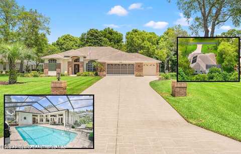 Rachel, SPRING HILL, FL 34607